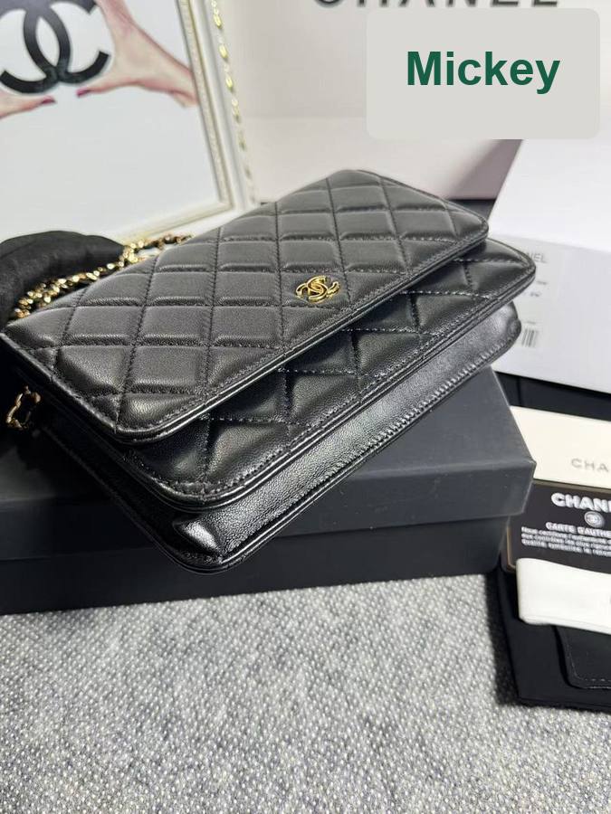 【S】$83=550CNY｜Chanel(WOC33814-14)｜Item ID-01481